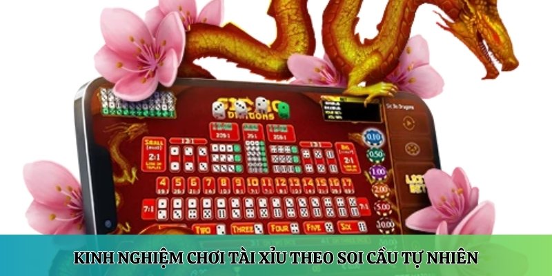 Kinh nghiệm chơi tài xỉu theo soi cầu tự nhiên